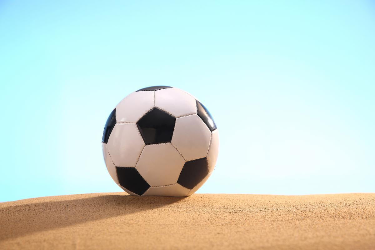 捷报下载功能展示